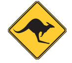 Wandering Skippycoin ICG