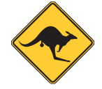 Wandering Skippycoin ICG Wandering Skippycoin ICG